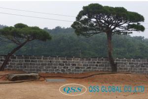 Natural wall stone®