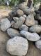 Rock Stone